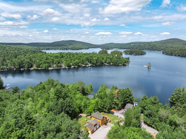 90 Mulberry Rd, Dedham, ME 04429 - photo 18