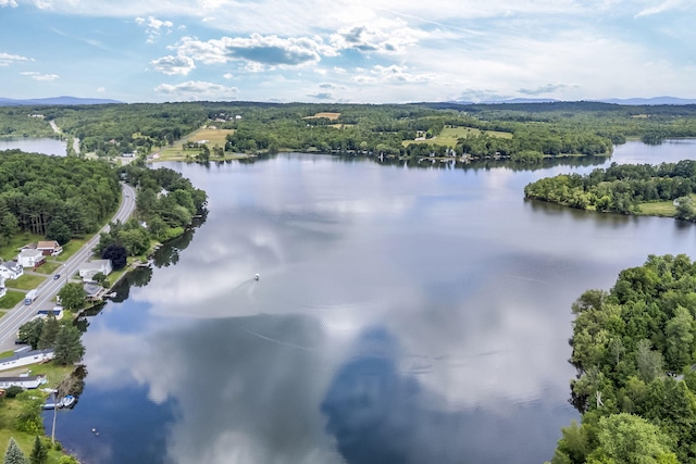 131 Pleasant St, Dexter, ME 04930 - aerial view of a heavily wooded area and a large body of water