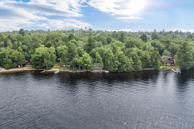 15 Loop Rd Unit T4, Indian Purchase Twp, ME 04462 - photo 5