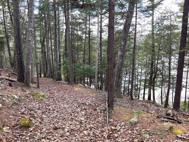 43 Tinker Meadow Way Unit 19, Ellsworth, ME 04605 - view of wooded area