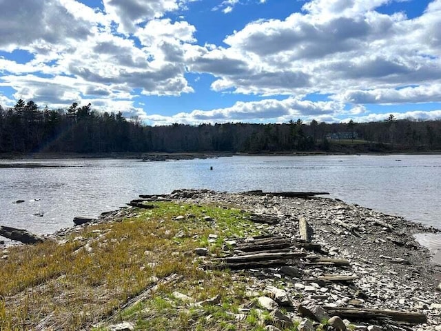 43 Tinker Meadow Way Unit 19, Ellsworth, ME 04605 - water view with a heavily wooded area