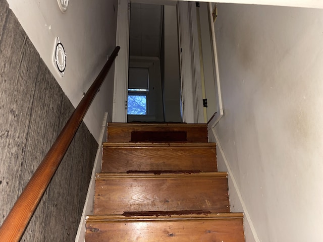 49 Belfort St, Portland, ME 04103 - photo 43