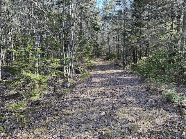 M5L13-3 Spruce Head Rd, South Thomaston, ME 04858 - photo 2