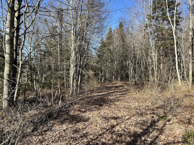M5L13-3 Spruce Head Rd, South Thomaston, ME 04858 - photo 3