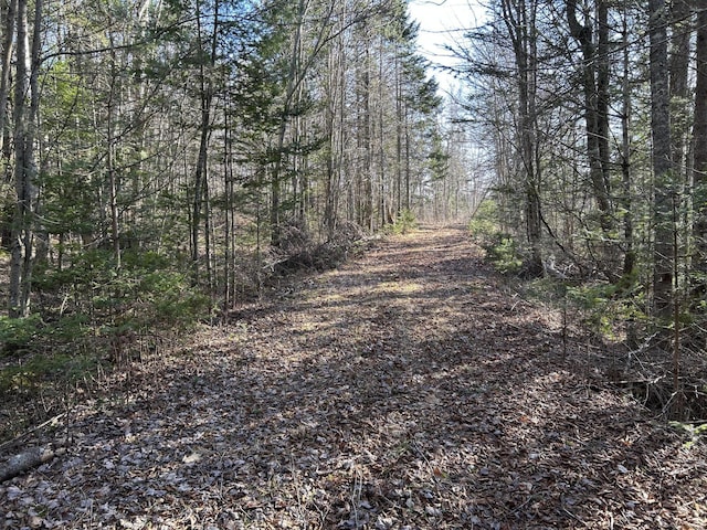 M5L13-3 Spruce Head Rd, South Thomaston, ME 04858 - photo 4