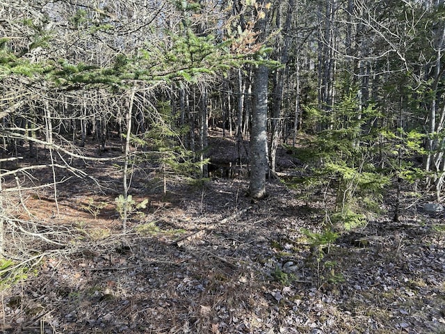 M5L13-3 Spruce Head Rd, South Thomaston, ME 04858 - photo 9