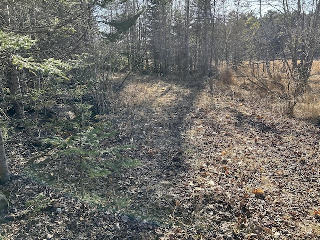 M5L13-3 Spruce Head Rd, South Thomaston, ME 04858 - photo 8