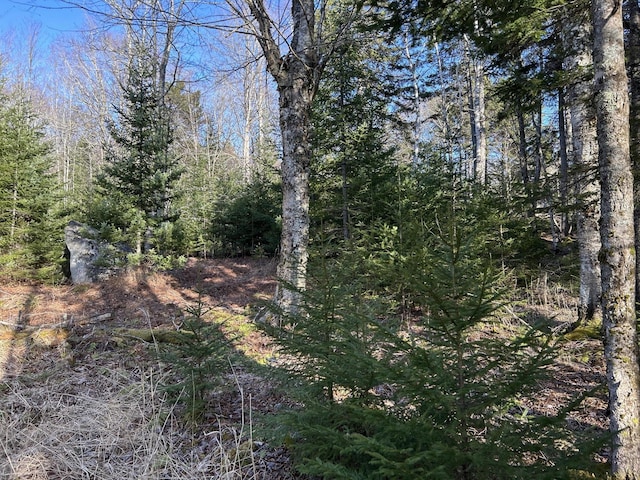 M5L13-3 Spruce Head Rd, South Thomaston, ME 04858 - photo 10