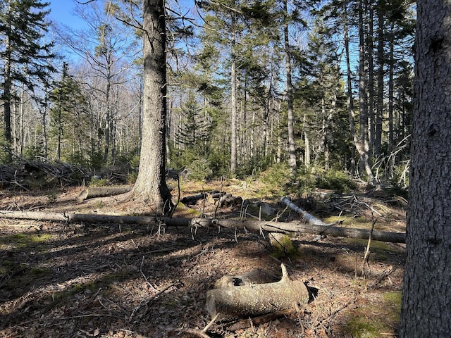 M5L13-3 Spruce Head Rd, South Thomaston, ME 04858 - photo 11