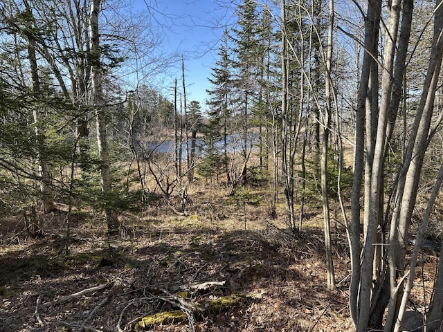 M5L13-3 Spruce Head Rd, South Thomaston, ME 04858 - photo 12