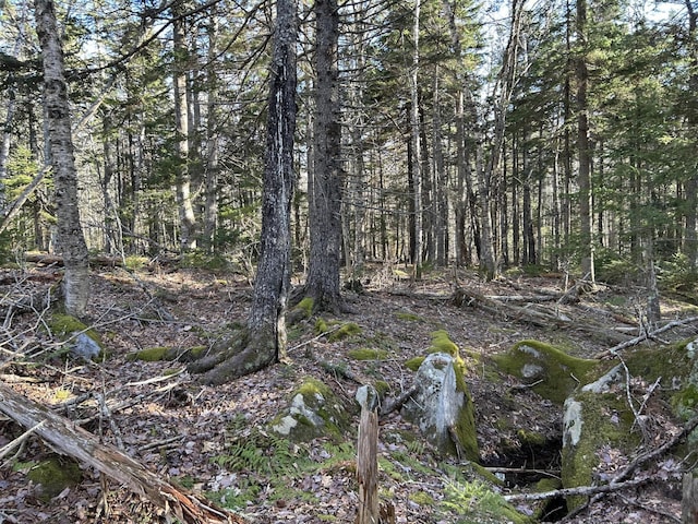 M5L13-3 Spruce Head Rd, South Thomaston, ME 04858 - photo 13