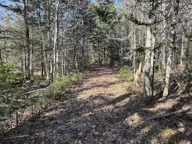 M5L13-3 Spruce Head Rd, South Thomaston, ME 04858 - photo 16
