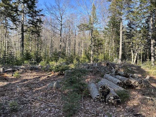 M5L13-3 Spruce Head Rd, South Thomaston, ME 04858 - photo 15