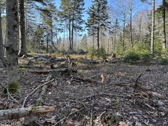 M5L13-3 Spruce Head Rd, South Thomaston, ME 04858 - photo 18