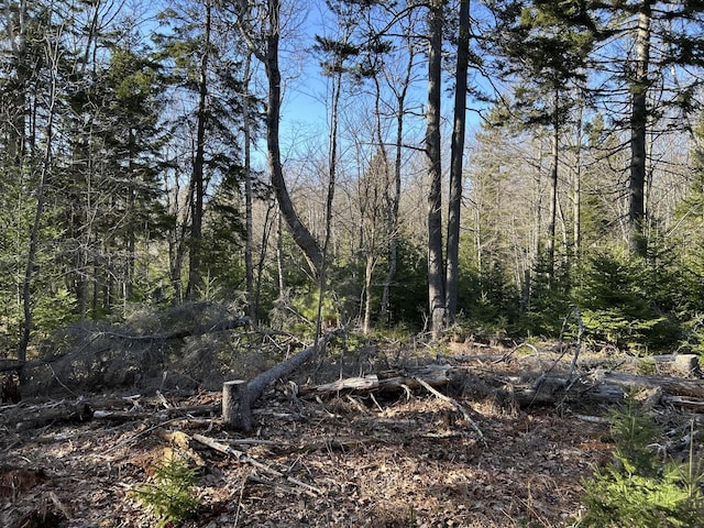 M5L13-3 Spruce Head Rd, South Thomaston, ME 04858 - photo 20