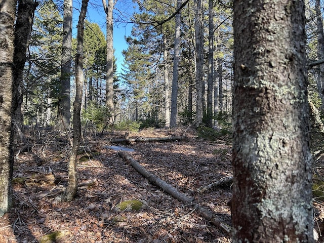 M5L13-3 Spruce Head Rd, South Thomaston, ME 04858 - photo 22