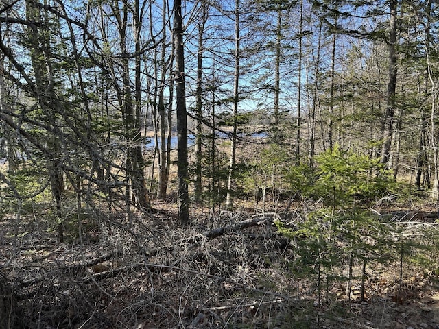 M5L13-3 Spruce Head Rd, South Thomaston, ME 04858 - photo 21