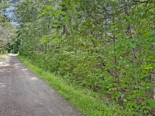 64 New Homestead Rd, Penobscot, ME 04476 - photo 8