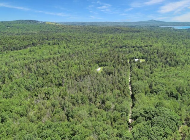 64 New Homestead Rd, Penobscot, ME 04476 - photo 7