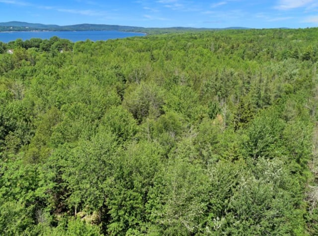 64 New Homestead Rd, Penobscot, ME 04476 - photo 6