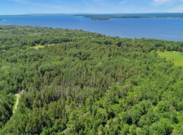 64 New Homestead Rd, Penobscot, ME 04476 - photo 5