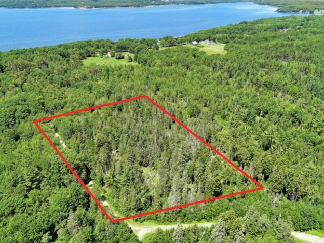 64 New Homestead Rd, Penobscot, ME 04476 - photo 4