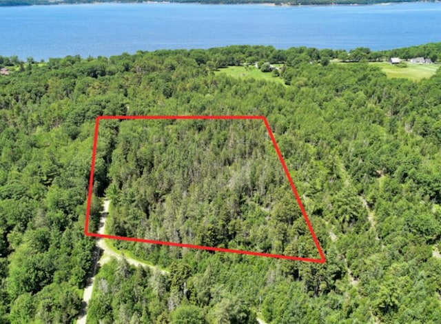 64 New Homestead Rd, Penobscot, ME 04476 - photo 3