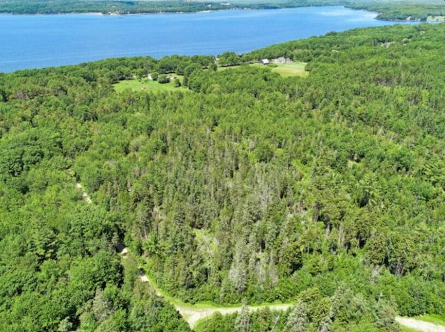 64 New Homestead Rd, Penobscot, ME 04476 - photo 2