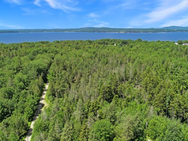 64 New Homestead Rd, Penobscot, ME 04476 - photo 1