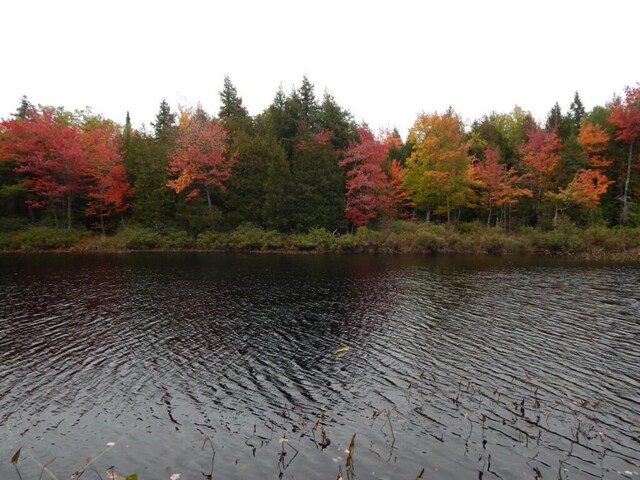 5 Call Rd, Milford, ME 04461
