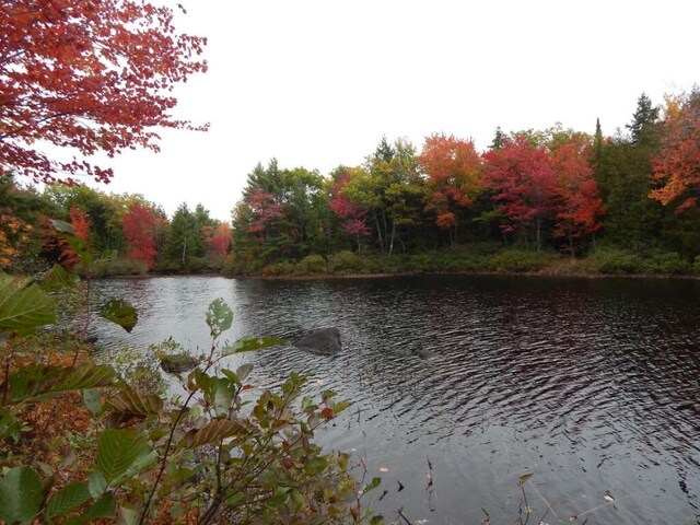 5 Call Rd, Milford, ME 04461