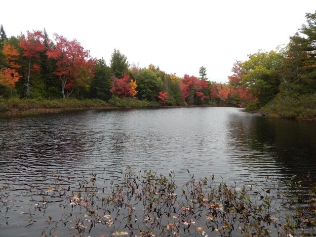 5 Call Rd, Milford, ME 04461