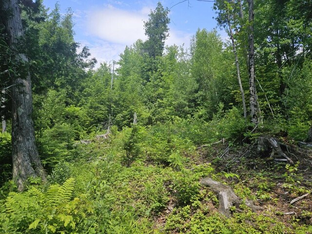 5 Call Rd, Milford, ME 04461