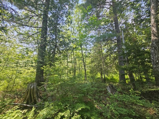5 Call Rd, Milford, ME 04461
