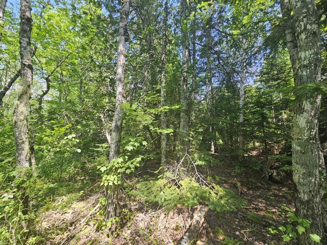 5 Call Rd, Milford, ME 04461