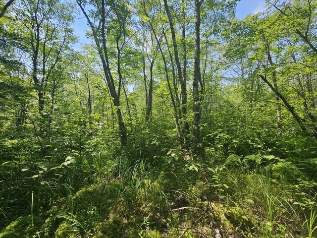 5 Call Rd, Milford, ME 04461