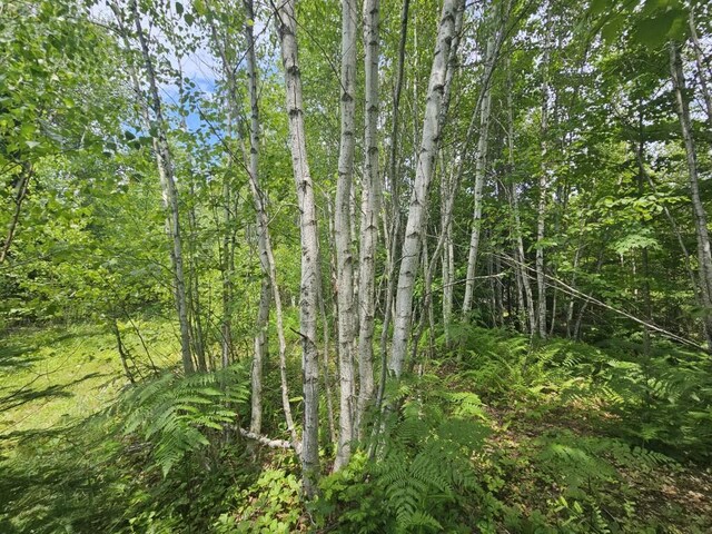 5 Call Rd, Milford, ME 04461