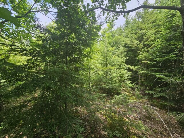 5 Call Rd, Milford, ME 04461