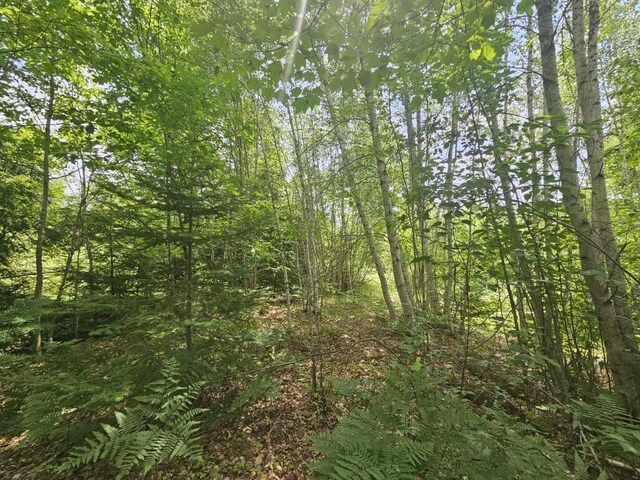 5 Call Rd, Milford, ME 04461