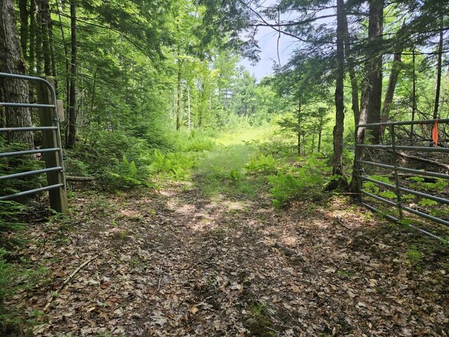 5 Call Rd, Milford, ME 04461