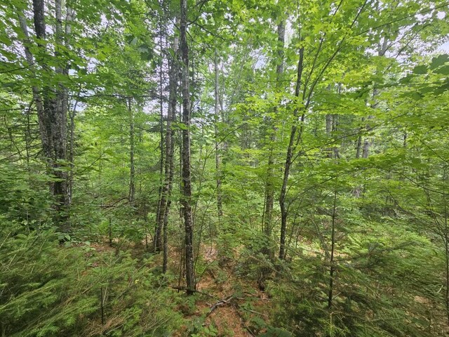 5 Call Rd, Milford, ME 04461