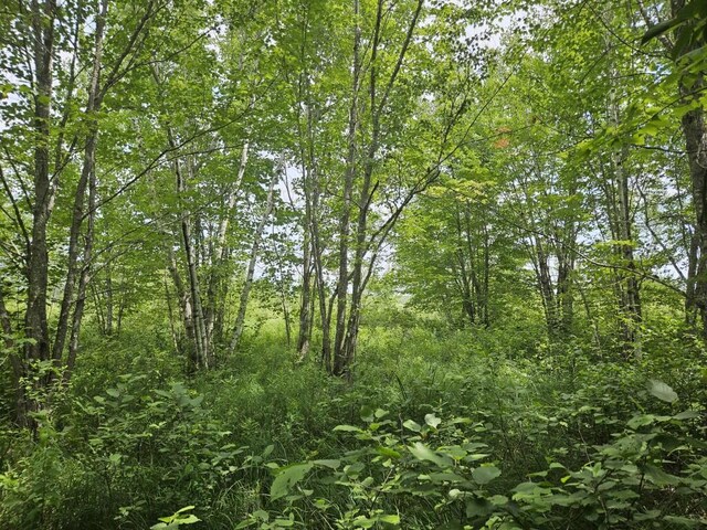 5 Call Rd, Milford, ME 04461