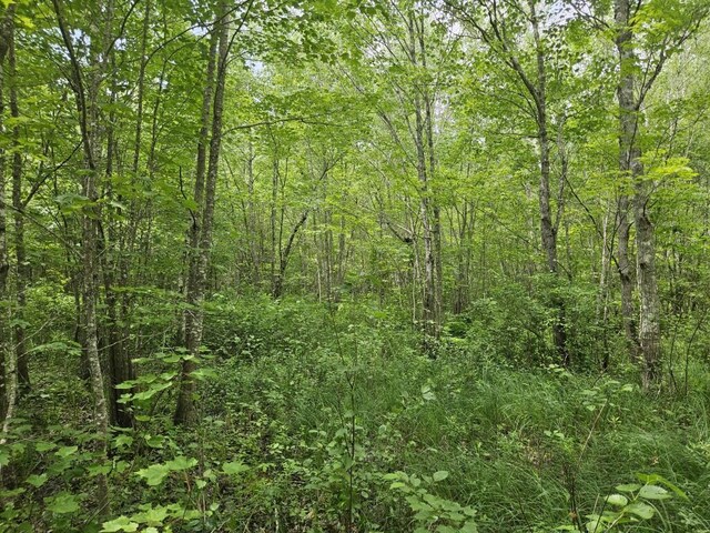5 Call Rd, Milford, ME 04461