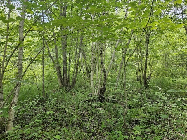 5 Call Rd, Milford, ME 04461