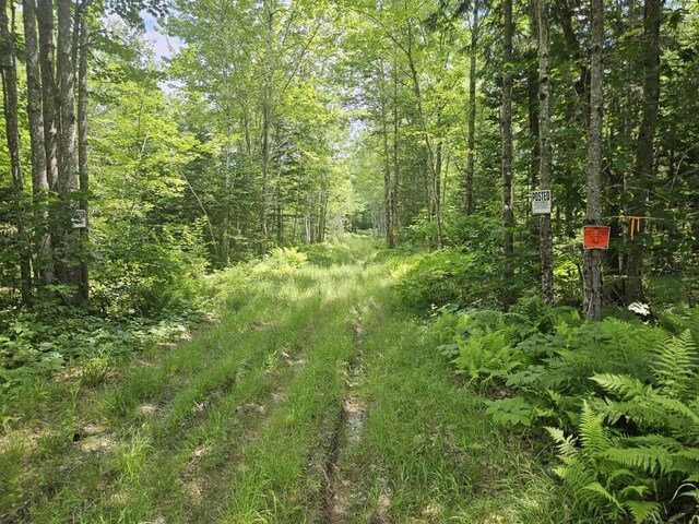 5 Call Rd, Milford, ME 04461