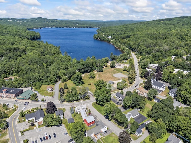 5 Smith St, Harrison, ME 04088 - photo 69