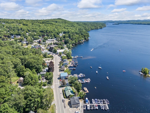 5 Smith St, Harrison, ME 04088 - photo 71