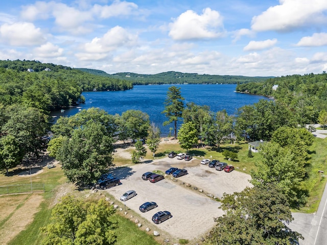 5 Smith St, Harrison, ME 04088 - photo 72