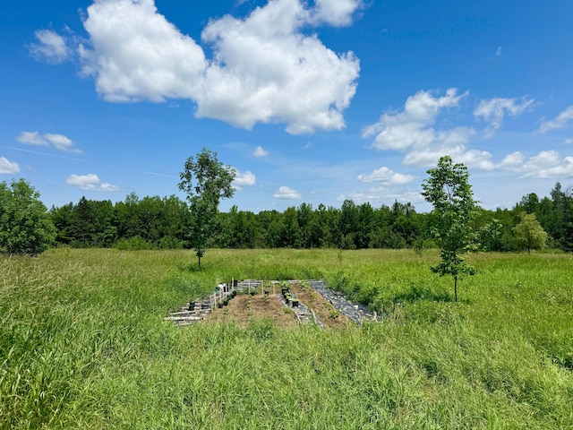 610 E Sangerville Rd, Sangerville, ME 04479 - view of yard with a view of countryside and a forest view
