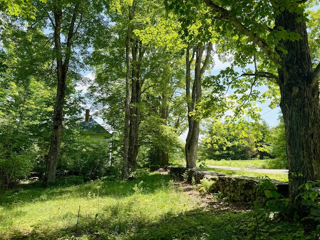610 E Sangerville Rd, Sangerville, ME 04479 - view of local wilderness